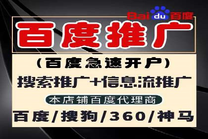搜索引擎营销（SEM）的五大成功案例剖析
